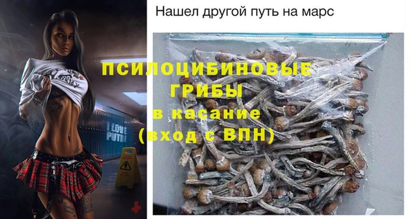 spice Новозыбков