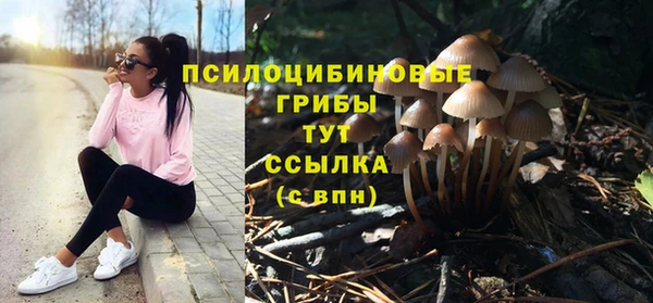 дживик Алексин