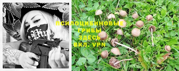 прущий лед Алексеевка
