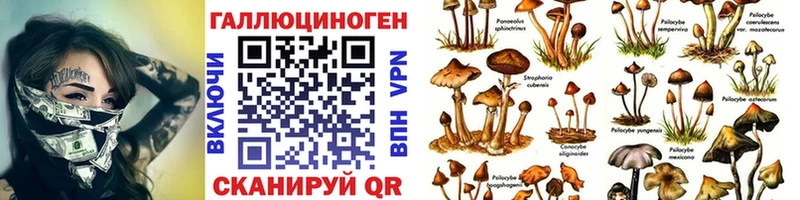Галлюциногенные грибы мухоморы  Керчь 